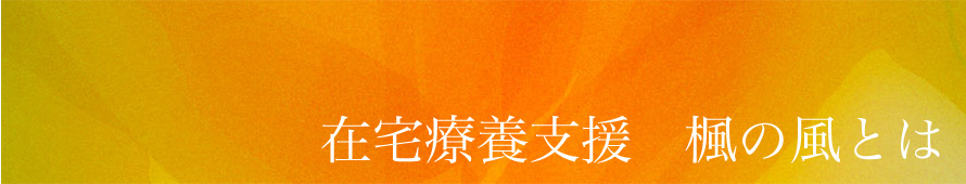 楓の風とは?
